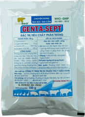 Rx-GENTA-SEPT (100 G/GÓI)-Thuốc kê đơn