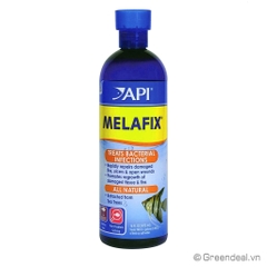 API - Melafix