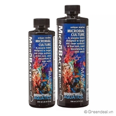 BRIGHTWELL AQUATICS - MicroBacter Clean