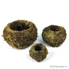 OEM - Moss Ball Kokedama