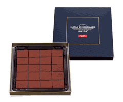 Nama chocolate - Bitter