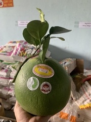 Bưởi Da Xanh Phương Uyên - 1kg