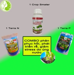 Combo phân bón giúp phục hồi và phát triển bộ rễ do úng nước