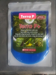 Terra P - Thúc đẩy phân hóa mầm hoa, phát triển rễ - gói 300gr