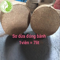 Bánh lốc xơ dừa sạch trồng rau - 4 bánh/lốc