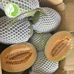 Dưa lưới Mật Kieufarm -1kg