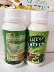 Phân bón Agro Harvest giúp tăng độ ngọt chắc trái và giúp đề đề kháng cây