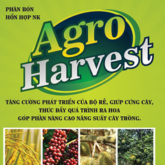 Phân bón Agro Harvest giúp tăng độ ngọt chắc trái và giúp đề đề kháng cây