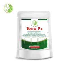 Terra P - Thúc đẩy phân hóa mầm hoa, phát triển rễ - gói 300gr