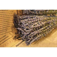 Hoa Lavender khô thơm (bó vừa)