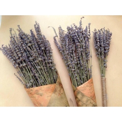 Hoa Lavender khô thơm (bó nhỏ)