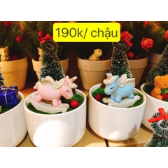 QUÀ NOEL - CHẬU THÔNG NHỎ HỒNG HẠC