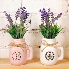 CHẬU HOA - CHẬU HOA LAVENDER LY VƯƠNG MIỆNG