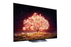 Smart Tivi OLED LG 4K 55 inch OLED55B1PTA