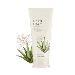 SRM TheFaceShop Herb Day 365 Master Aloe & Green Tea 170ml