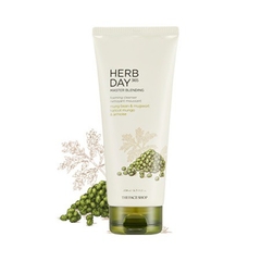 SRM TheFaceShop Herb Day 365 Master Mung Bean & Mugwort 170ml