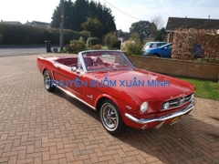 Mô Hình Xe Ô Tô Gỗ FORD MUSTANG 1965 Trang Trí | Gỗ Căm Xe