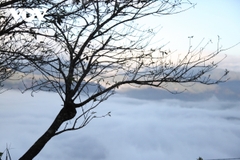 TOUR SĂN MÂY TÀ XÙA 2N1Đ: HÀ NỘI - TÀ XÙA - SỐNG LƯNG KHỦNG LONG - ĐỈNH GIÓ