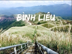 BÌNH LIÊU - MÙA HOA LAU