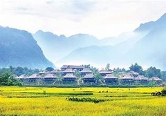 HÀ NỘI - MAI CHÂU - MỘC CHÂU - CẦU KÍNH BẠCH LONG 2 NGÀY 1 ĐÊM