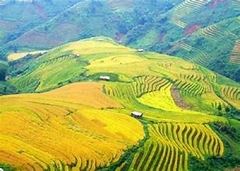 DU LỊCH TÀ XÙA 2 NGÀY 1 ĐÊM: HÀ NỘI - BẮC YÊN - SĂN MÂY TÀ XÙA