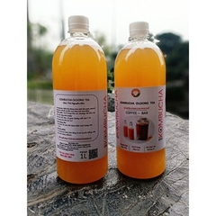 KOMBUCHA OLOONG TEA - HỮU CƠ/DÙNG CHO QUÁN CAFE (Nguyên Chất Thô - chuyên dùng cho pha chế )