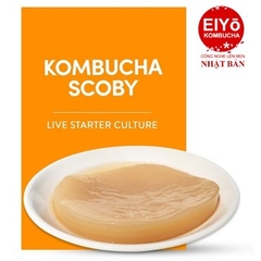 SCOBY ORGANIC LÀM TRÀ KOMBUCHA ( Được chuẩn hóa tại Viện Vi Sinh và Nuôi Theo Công NGhệ NHẬT BẢN tại BA VÌ)