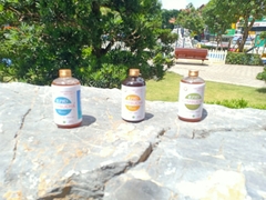 Trà EIYO KOMBUCHA PURE - Nguyên vị tự nhiên với nguyên liêu Organic, được lên men thủ công Truyền thống tại Núi Ba Vì.