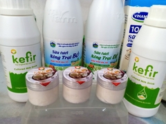 KEFIR YOGURT STARTER - ORGANIC ( Hạt Sữa Chua Kefir khởi động)