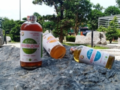 Trà EIYO KOMBUCHA DETOX TEA - Thanh lọc cơ thể, giảm cân, được lên men thủ công Truyền thống tại Núi Ba Vì.