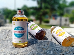 Trà EIYO KOMBUCHA  RAW - Nguyên vị tự nhiên với nguyên liêu Organic, được lên men thủ công Truyền thống tại Núi Ba Vì.