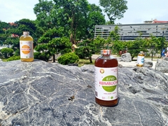 Trà EIYO KOMBUCHA PURE - Nguyên vị tự nhiên với nguyên liêu Organic, được lên men thủ công Truyền thống tại Núi Ba Vì.