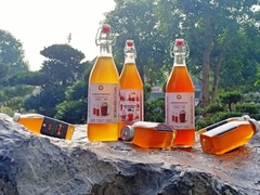 Trà KOMBUCHA OLOONG TEA - Nguyên Chất Thô (chuyên dùng cho pha chế tại Nhà & Quán cà phê, quán bar, trà chanh, trà sữa)