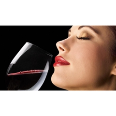 Bộ lọc rượu vang sang trọng Vinturi Deluxe Red Wine Aerator Set