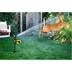 Thiết bị đuổi động vật khỏi sân vườn ScareCrow Motion Activated Animal Deterrent