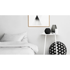 Loa không dây Bang & Olufsen Beoplay S3 Flexible Home Speaker