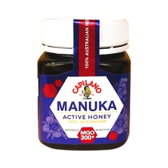 Mật ong Manuka Úc Capilano Active Honey MGO300+