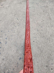 Nịt da Cá sấu - Dây liền hông rất dễ dùng! (mặt bạc)