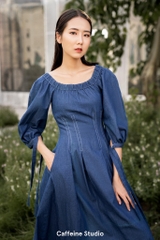 Susan denim Dress