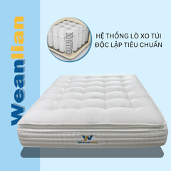 Nệm Lò Xo Túi WEANLIAN DR803