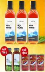 Combo 3 Chai Mật Ong Thiên Nhiên Hoa Rừng 730gr Honey Land