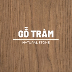 mau Natural Stone tren go tram