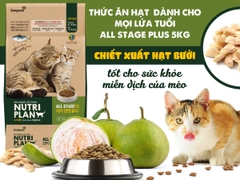 Hạt Nutri Plan Cho Mèo 5KG