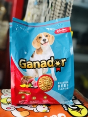 GANADOR VỊ BÒ NƯỚNG 500G