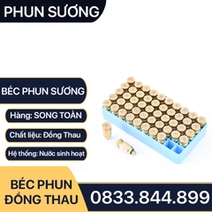 Béc Phun Sương, Đầu Phun Sương Đồng Thau Chân Ren M5 - Phun Sương Mịn số 1 2 3