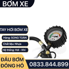 Tay Bơm Hơi Xe Có Đồng Hồ Đo Áp Suất 25D