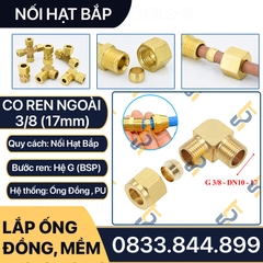 Co Ren Ngoài 3/8 (17), 1 Đầu Ren 1 Đầu Côn Lõm Hạt Bắp NPT Nối Ống Đồng, Ống PU