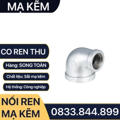 Co Thu Ren Mạ Kẽm, Co Thu Nối Ren Trong Sắt Mạ Kẽm