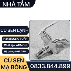 Củ Sen Lạnh Mạ Crome, Củ Vòi Sen Tắm Hợp Kim CSL 08 - Phi 21