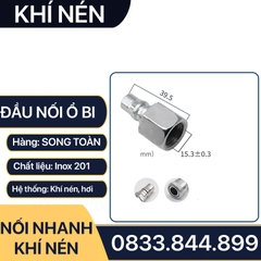 Khớp Nối Nhanh SF PF Khí Nén Ren Trong, Bộ Nối Nhanh Ổ Bi Ren Trong 13 17 21